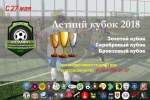 Судейская