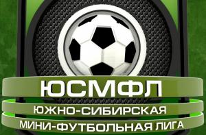 XIV ЧЕМПИОНАТ ЮСМФЛ. 2 ЭТАП "ФИНАЛЫ ЧЕТЫРЕХ"